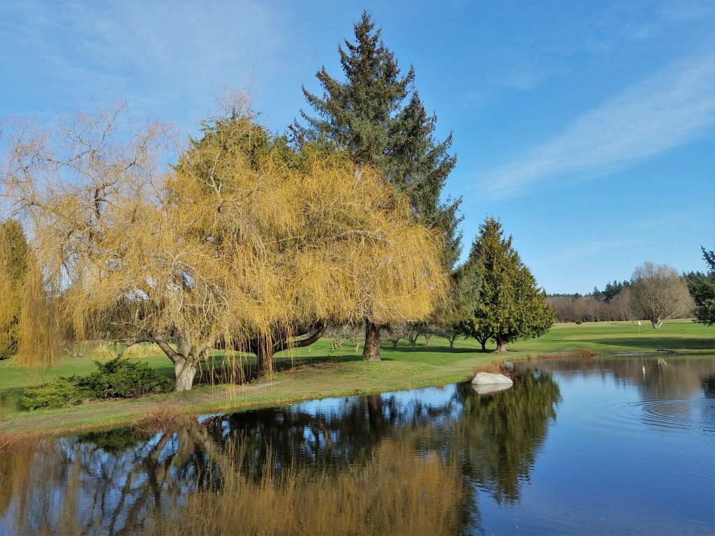 golf courses near salem oregon