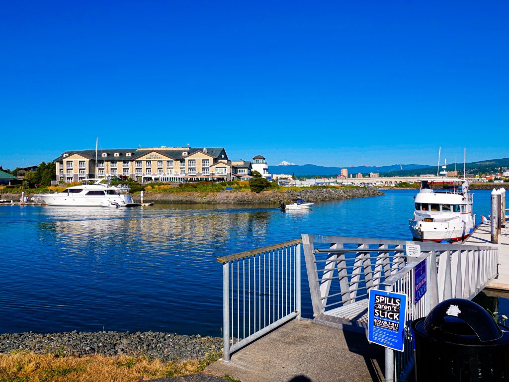 moving to bellingham wa